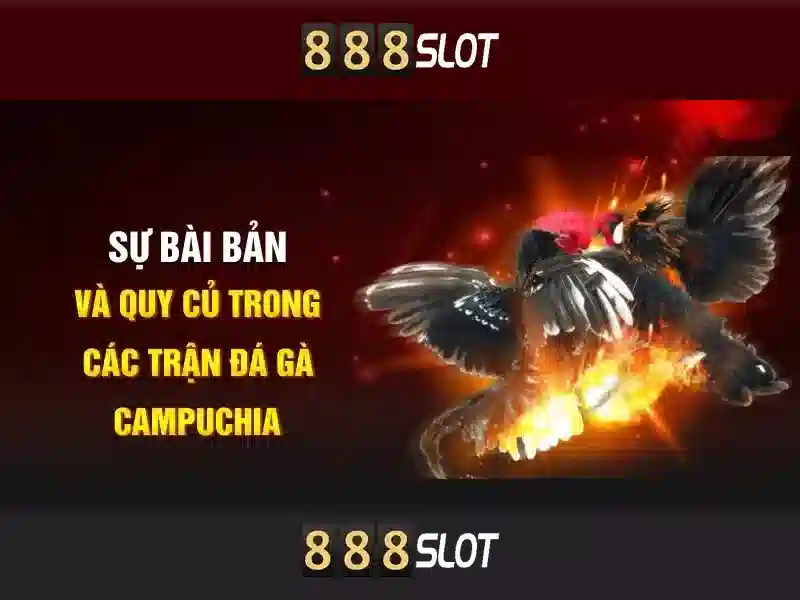 888 dragons slot review – Tổng quan và đánh giá