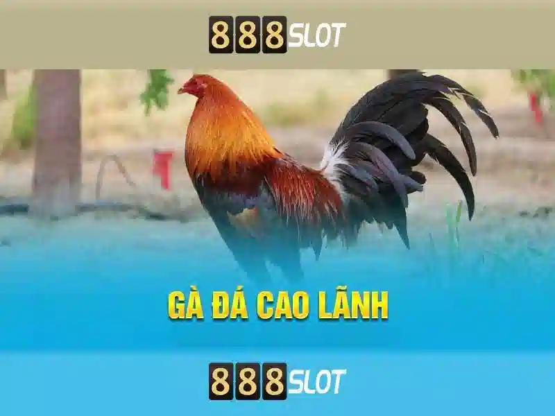 888 slot casino – trải nghiệm đỉnh cao cho người chơi