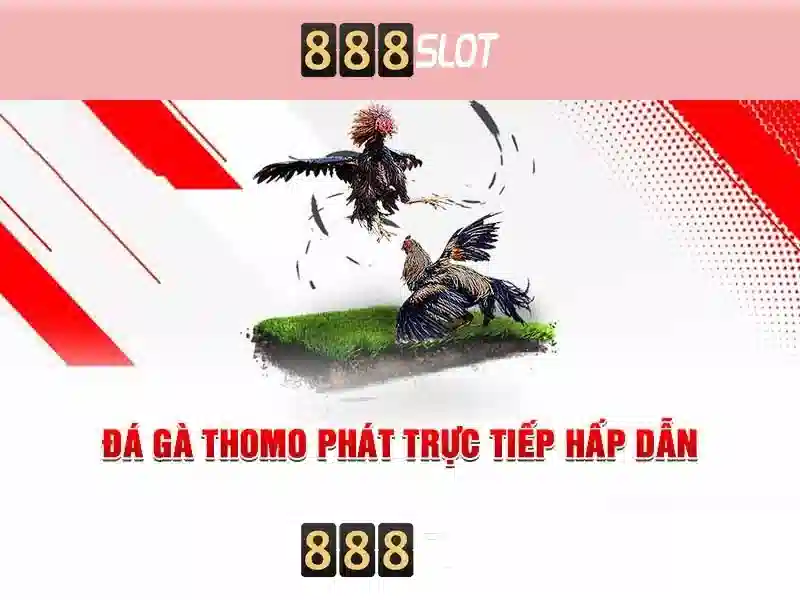 An toàn và hỗ trợ khách hàng