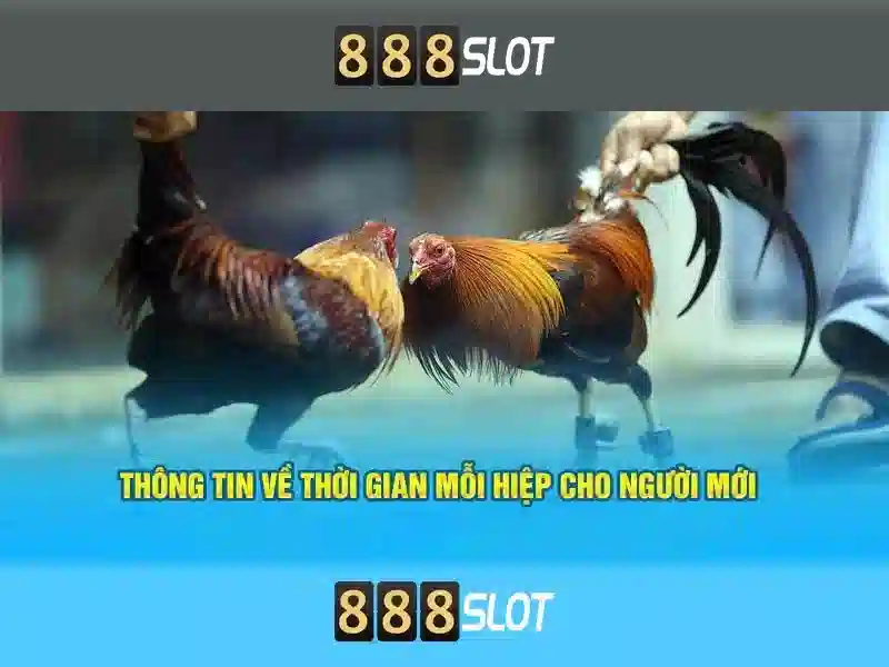 888 slot casino chu de tong quan