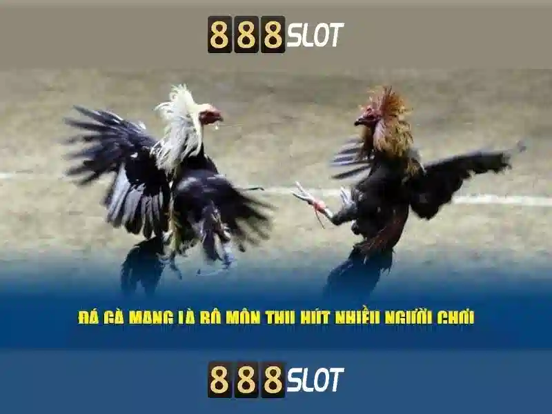 888slot: Đánh giá sòng slot trực tuyến tại Việt Nam