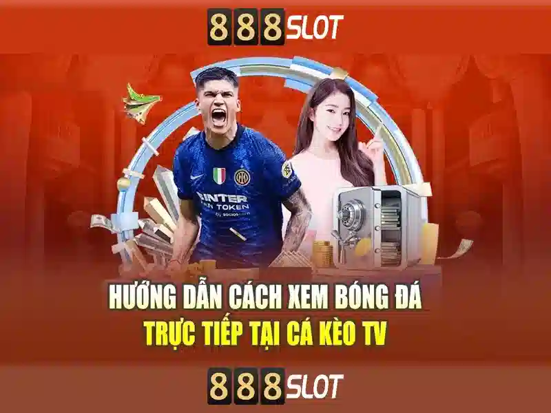 Khuyến mãi và thanh toán\n\n<h>Trải nghiệm người dùng và hỗ trợ</h>\n<p style=