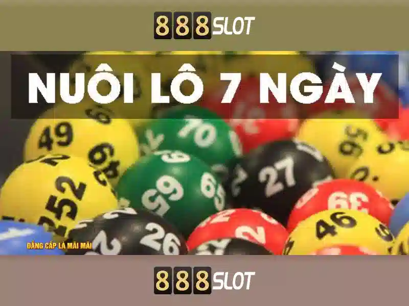 Giới thiệu về 888slot