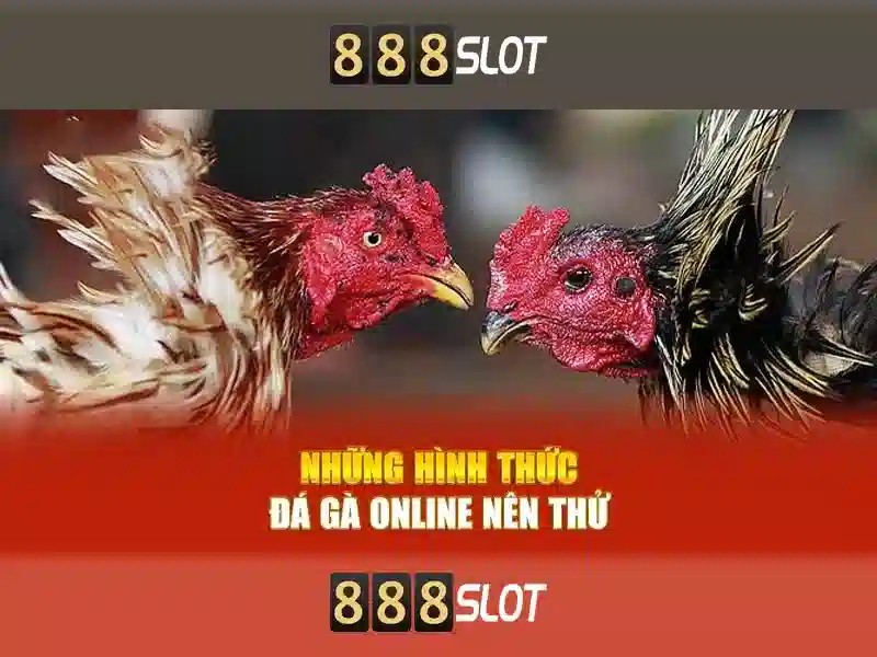 Tính năng nổi bật