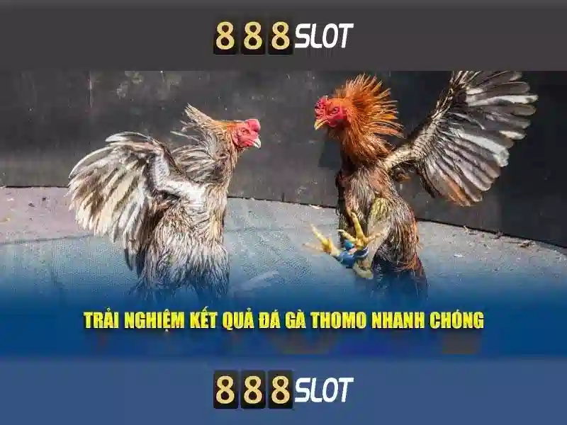 Khám phá 888slot: Nền tảng slot trực tuyến an toàn và hấp dẫn
