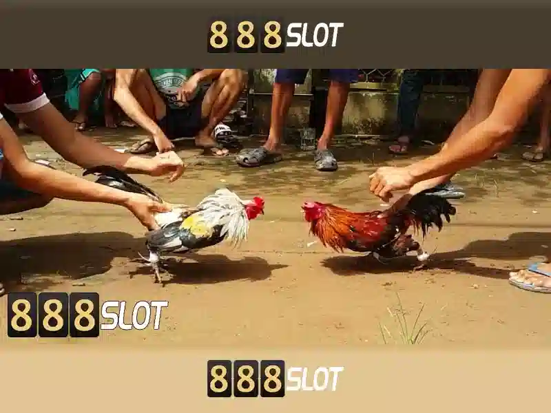 888slot - Nền tảng casino trực tuyến phổ biến