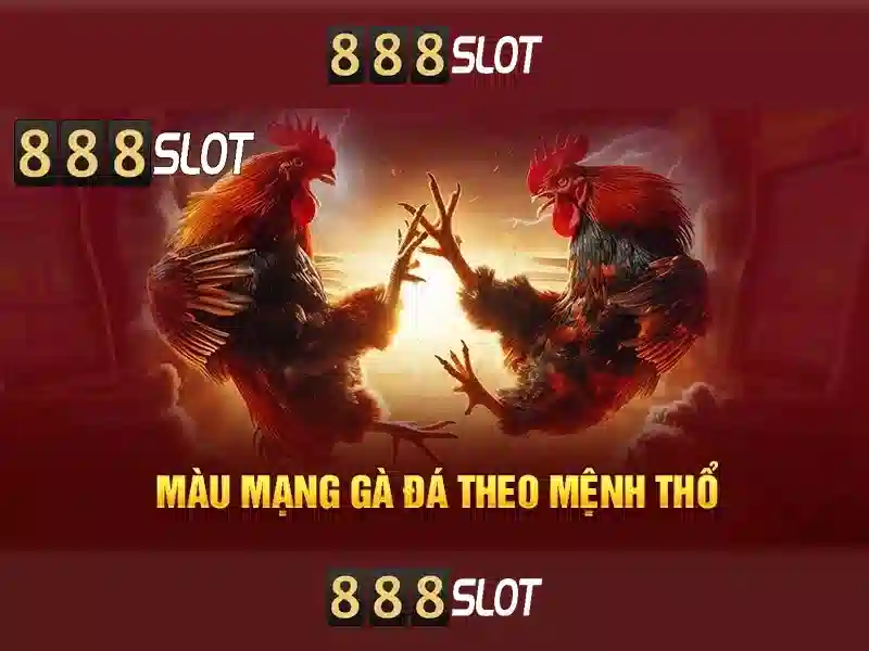 888slot: Đánh giá và Trải nghiệm