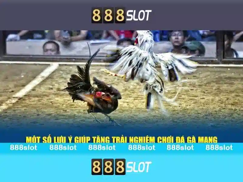 888slot là gì và tại sao nổi bật