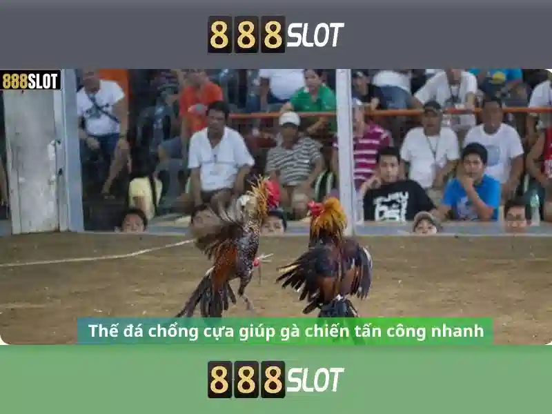 Khuyến mãi và chương trình thưởng\n\n<h2 style=