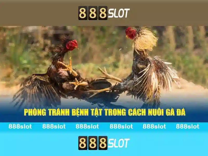 Kết luận