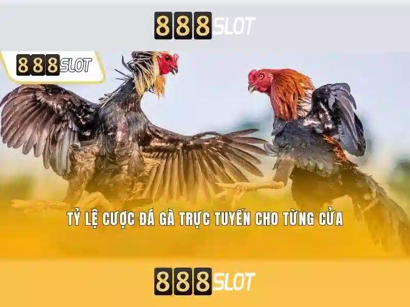 Giới thiệu về 888slot
