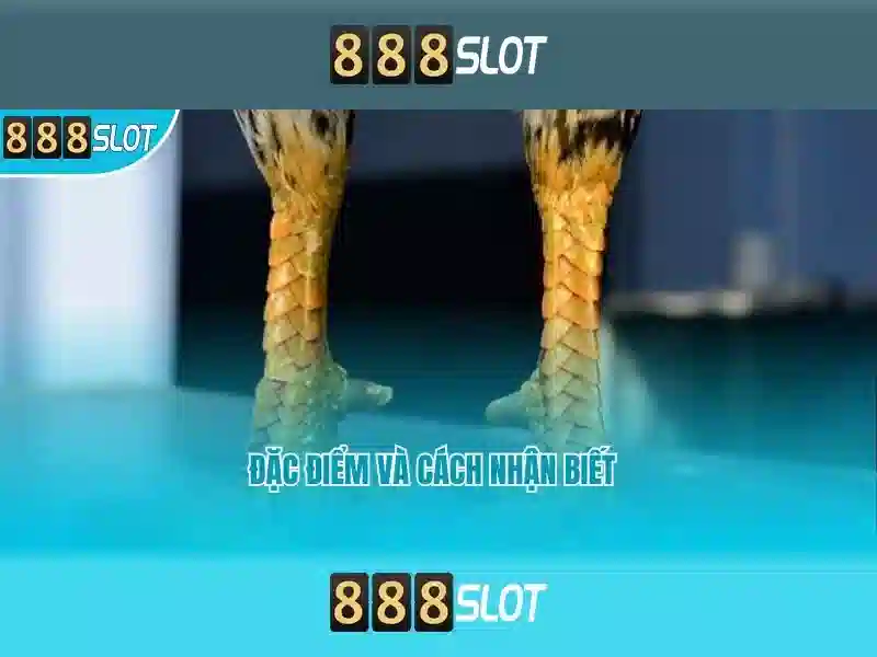Tính năng nổi bật
