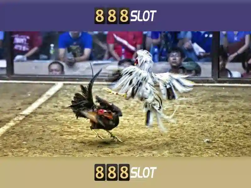888slot: Nền tảng chơi slot trực tuyến nổi bật