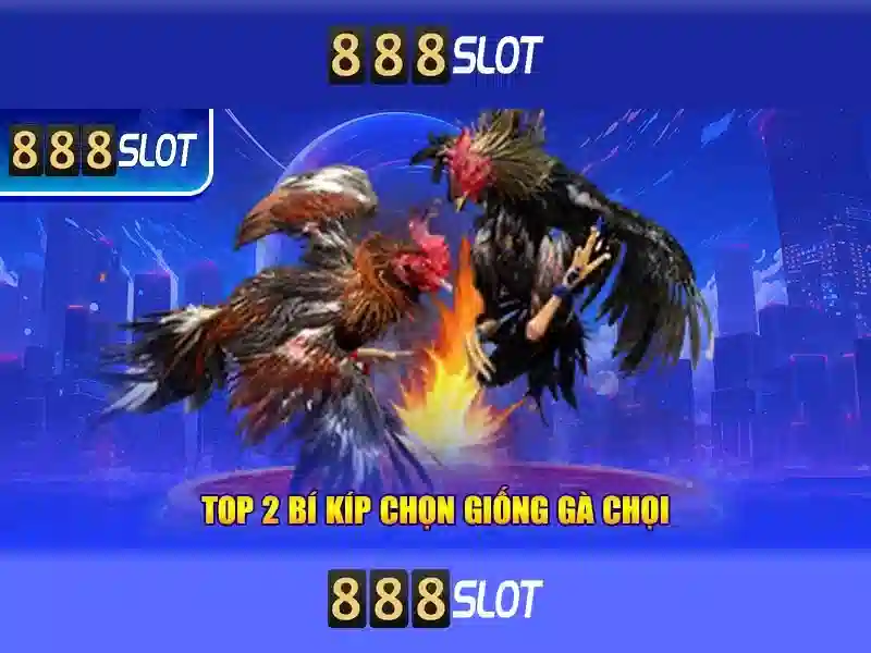 888slot: Khám phá nền tảng slot trực tuyến an toàn và hấp dẫn