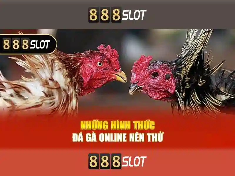 Trò chơi và trải nghiệm\n<h2 style=