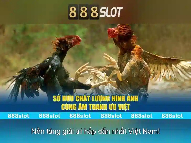 888slot: Sàn cược trực tuyến phổ biến tại Việt Nam
