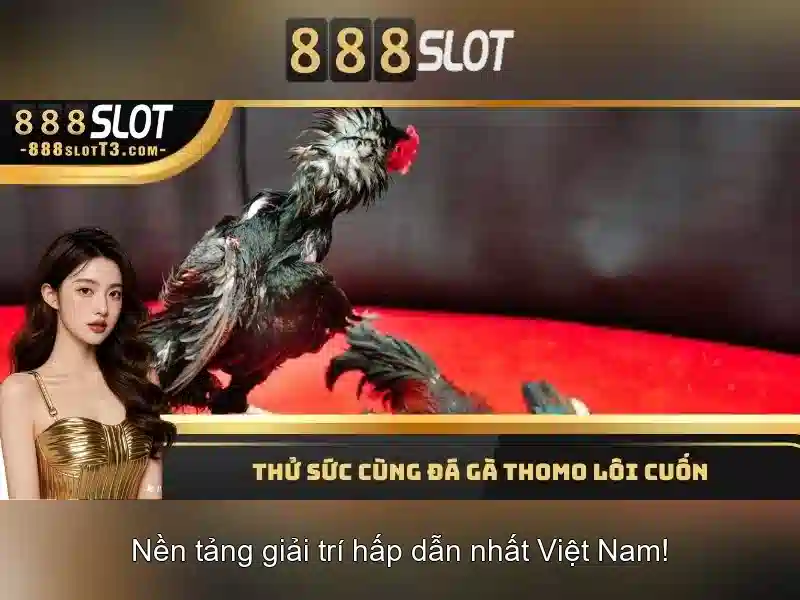 Các điểm nổi bật về trò chơi