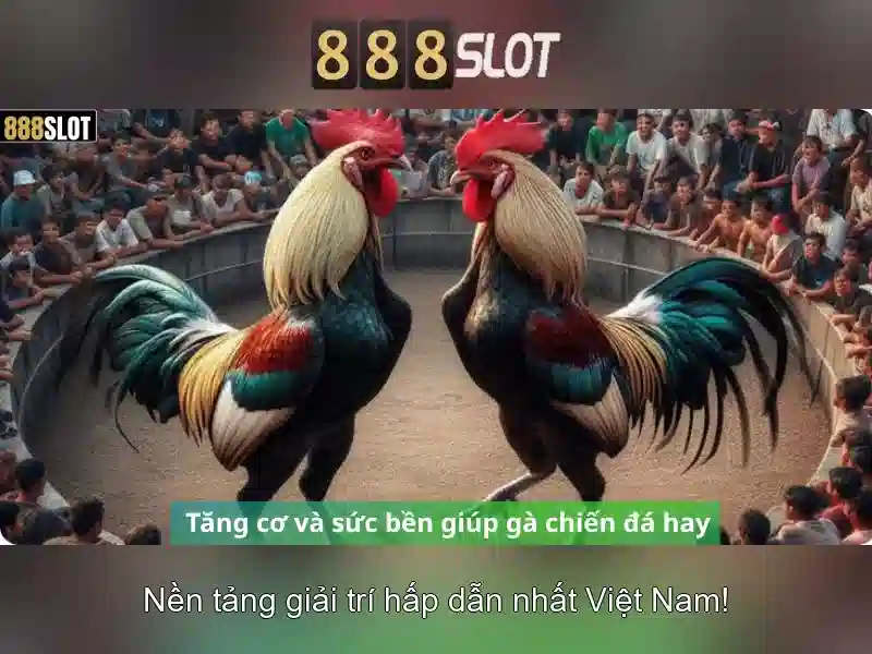 888slot - Cổng sòng bạc trực tuyến uy tín và đa dạng