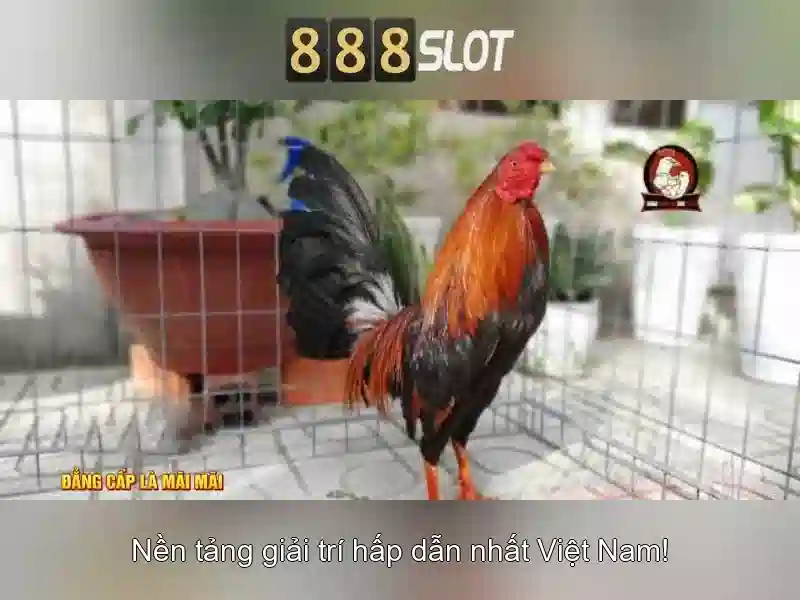Giao diện người dùng thân thiện và bảo mật cao