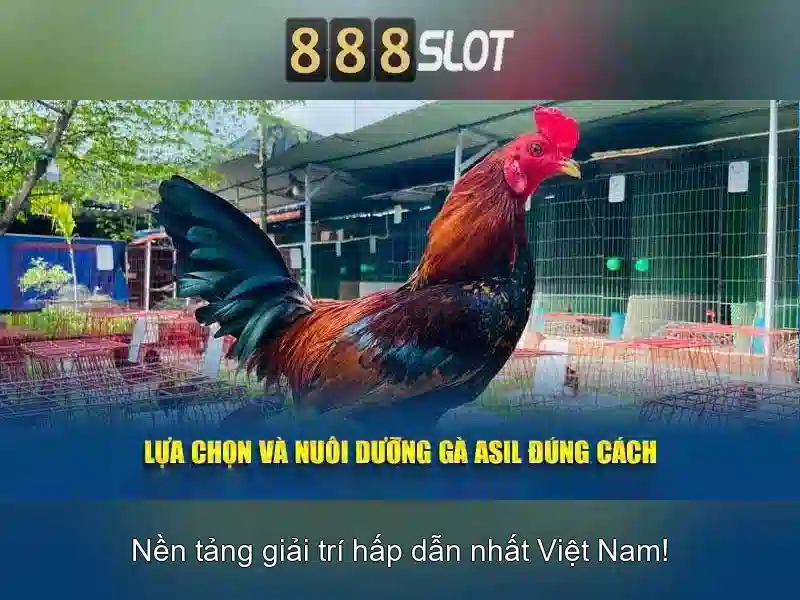 sinar 888 slot – Trải nghiệm đỉnh cao cược trực tuyến