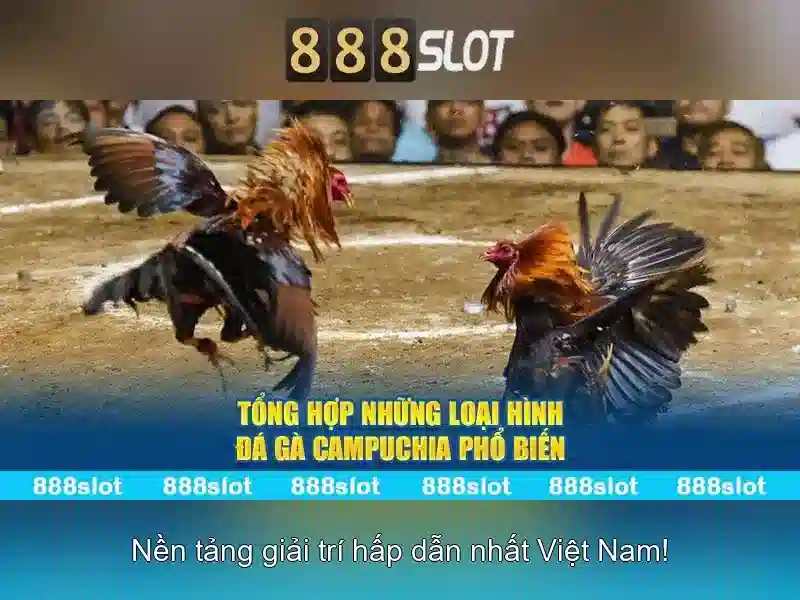 Hỗ trợ và trách nhiệm chơi game