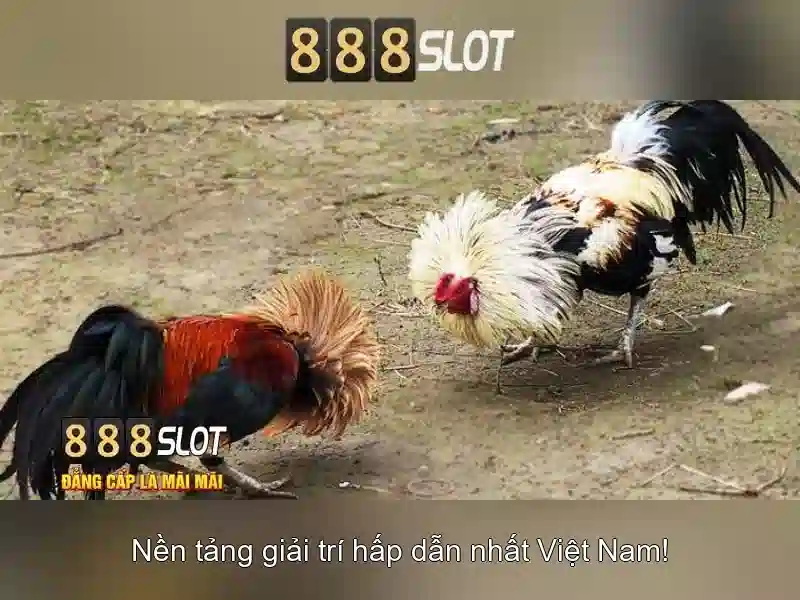 casino 888 free online slot machine – Trải nghiệm đỉnh cao