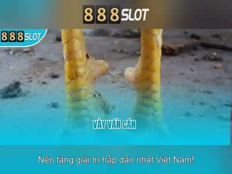 An toàn và hỗ trợ khách hàng