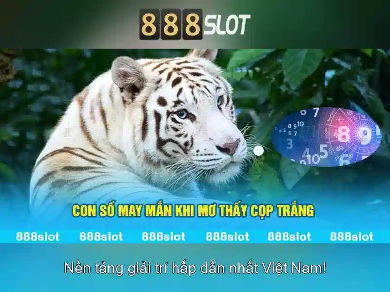 888slot: Khám phá nền tảng casino trực tuyến hàng đầu