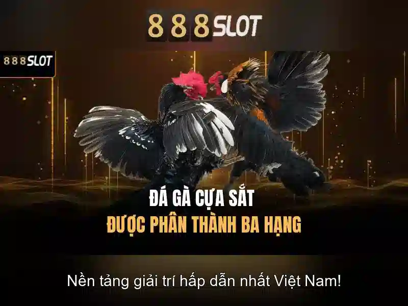 Giới thiệu về 888slot