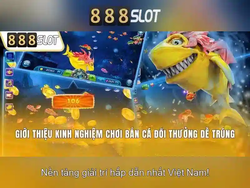Khuyến mãi và chính sách bảo mật