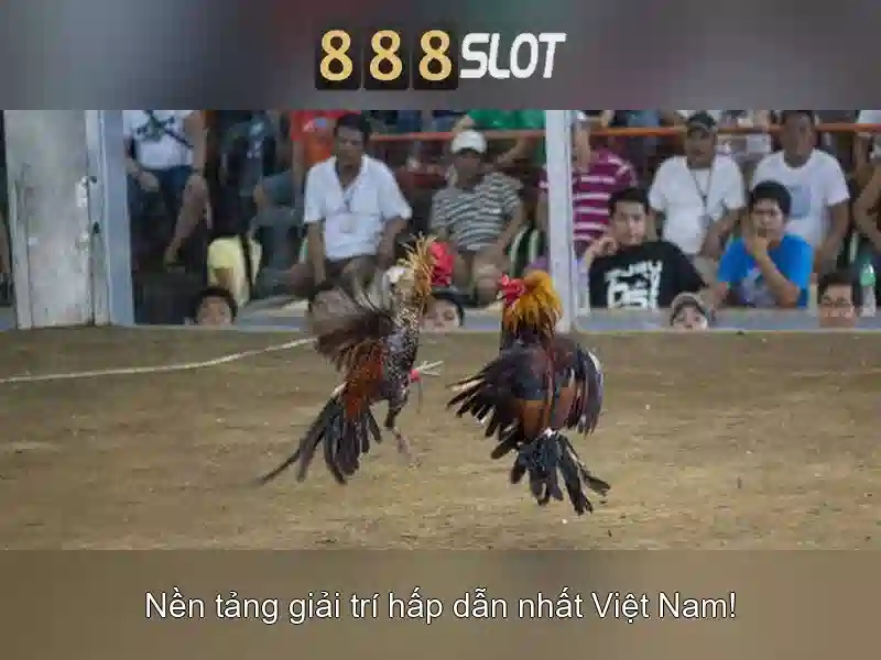 Trải nghiệm trò chơi và tính năng